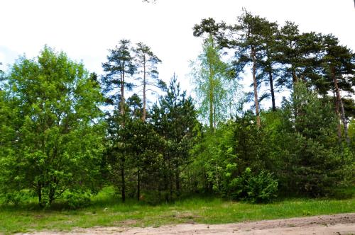 Männiku JK - image 4