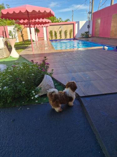 Chacara Rosa, Local lindo e tranquilo ideal para familias, perto do Parque Novo Mato Grosso in Jardim Ubirajara