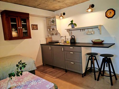 ห้องครัว, Magnolia Apartment with free parking in โคซิเช