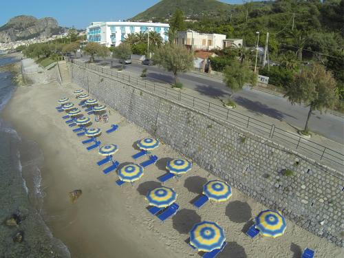 Hotel Tourist - image 2