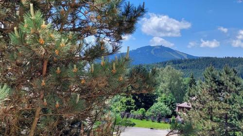 View, Apartman REZE Sumava near Spicak Observation Deck