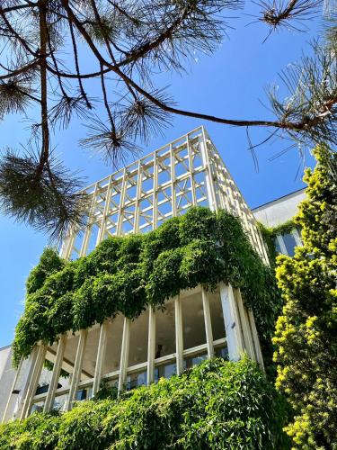 Large 120m apartment with garden and cat near ZOO in Praha-Troja