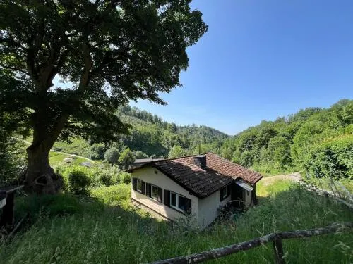 Ferienhaus Denise Harz in Sankt Andreasberg, Deutschland