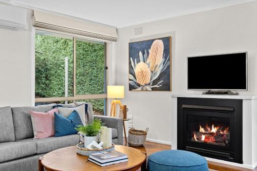 Locala Protea - Seaside Calm on Mornington Peninsula, Mount Martha (fotografie 8)