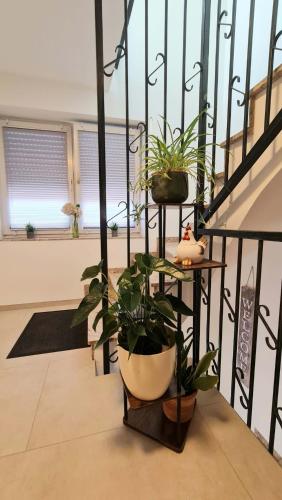 外部景觀, Gästehaus Ferienwohnung Zimmer 2A Jülich (Gastehaus Ferienwohnung Zimmer 2A Julich) in 於利希