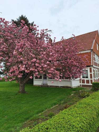 Gasthaus zur Grenze in Cuxhaven, Deutschland