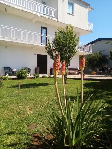 Janja Medjugorje in Bijakovici