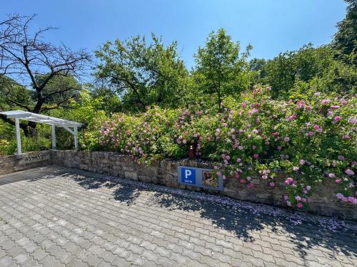حديقة, Ferienhaus Esswiese in Ettersbergsiedlung