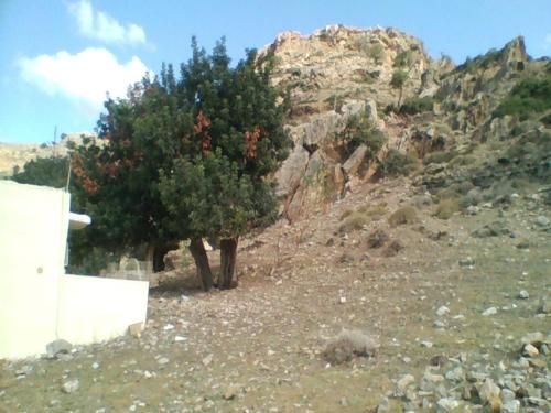 Apartamento con vistas a las montañas