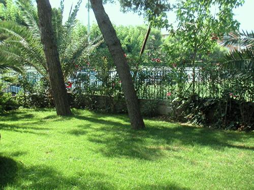 Hotel Parco – San Benedetto del Tronto, MO