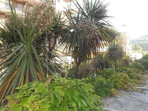 Hotel Parco – San Benedetto del Tronto, MO