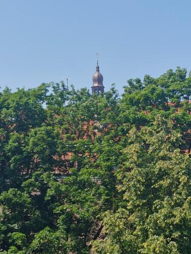 Old Riga apartment next to St Peters church, Riga (foto 4)