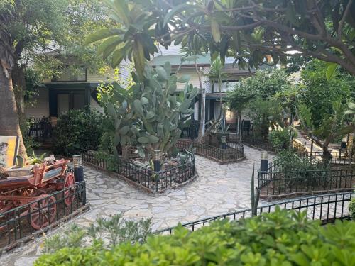 Beachwood Villas - 정원
