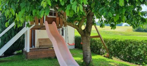 Ferienwohnung Umkreis Sankt Englmar mit vielen Freizeitattraktionen in Kollnburg