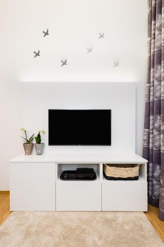 One-Bedroom Apartment 45 image 7