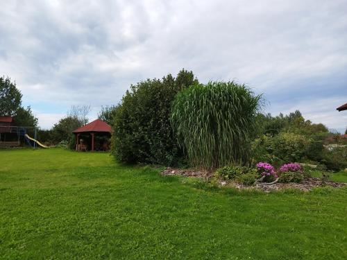 Garden, Penzion Milna 38 in Milna