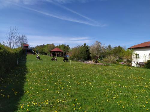 Garden, Penzion Milna 38 in Milna