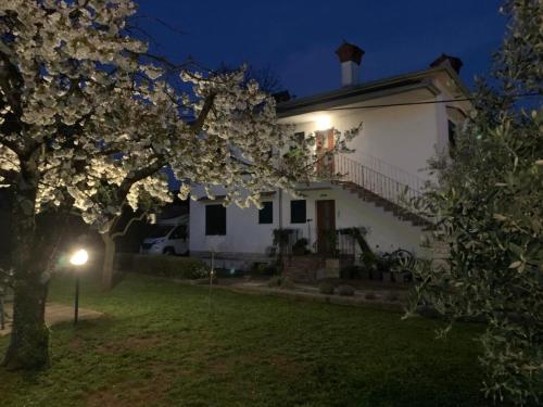 Hiša Tavčar (Hisa Tavcar) in Dutovlje