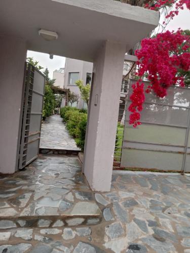 Virna s home