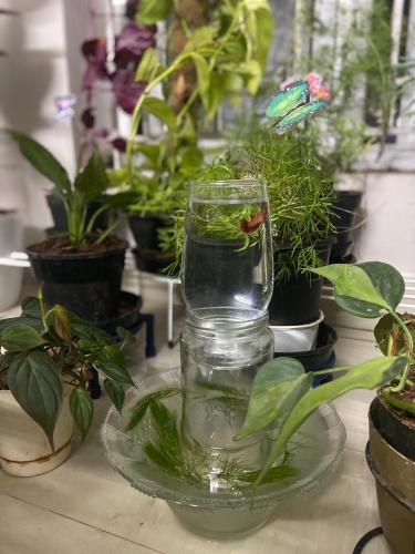 المنطقة المحيطة, Peter's Cottage in Madukkarai