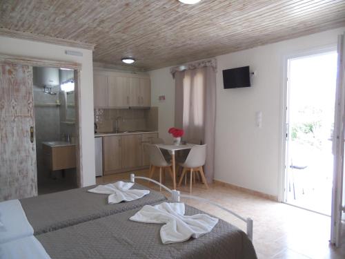 Irini Studios, Arkasa (foto 4)