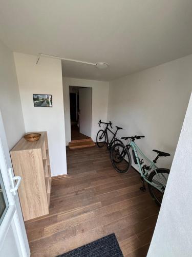 Apartmán u Benátek (Apartman u Benatek) in Pluhův Žďár