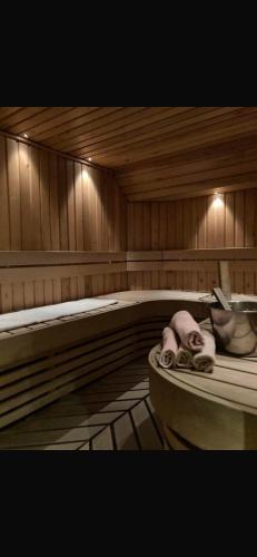 Saun, Rock Hotel Somero in Somero