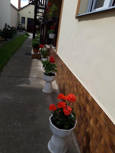 Liliapartman in Hajduboszormeny