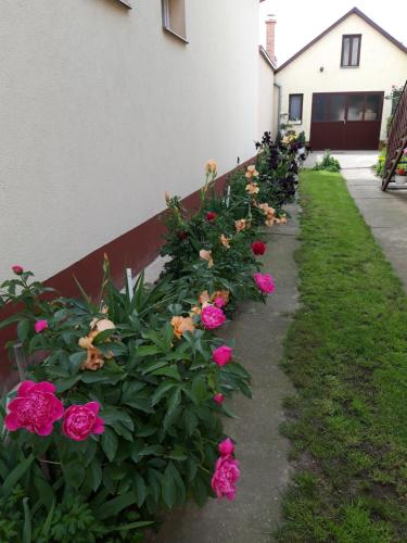 Liliapartman in Hajduboszormeny