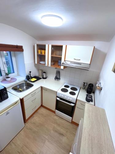 ห้องครัว, Zoubkova apartment - 2 rooms near exhibition center in โนวี ลิสโคเวซ