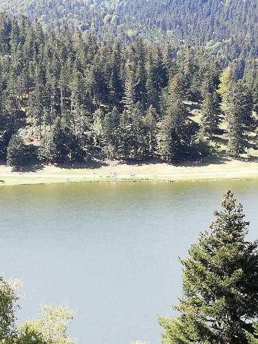 Maison de village in Campan