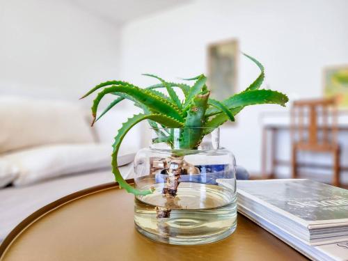 Amazing Condo with Pool Fresnaye - image 3