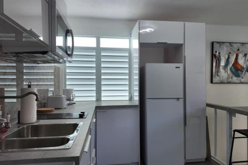 virtuve, VSS La Puntilla in Arecibo - Stylish Coastal Getaway in Jarealito