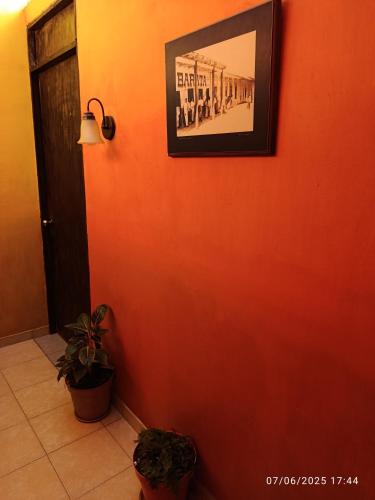 Posada "Jardin Huasteca Xilitla" in Xilitla