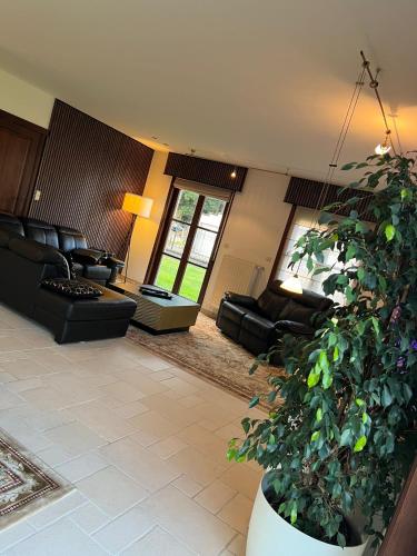 Luxe Villa Lou & Hans in 阿爾斯特
