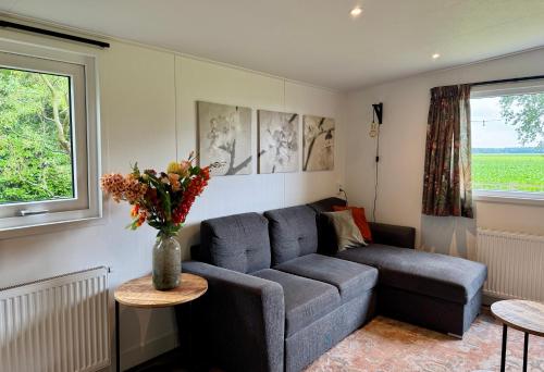 Chalet Zuiderzicht in Odoornerveen