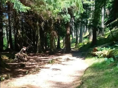 Grouse Lodge – Dunoon