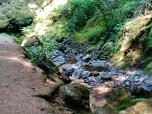 Grouse Lodge – Dunoon