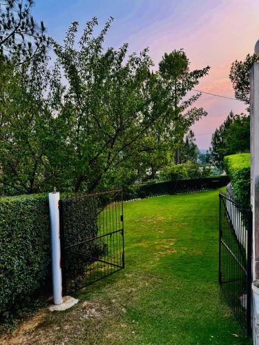 Green Resort