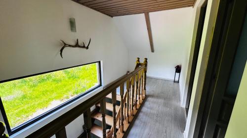 Изглед, Cabana cu ciubăr din Larguta (Cabana cu ciubar din Larguta) in Holbav
