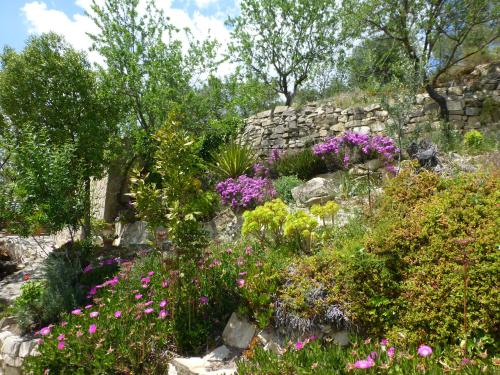 Finca Sábila Finca Sábila