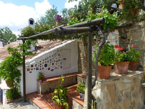 Finca Sábila Finca Sábila