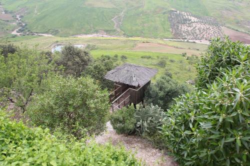 Finca Sábila Finca Sábila