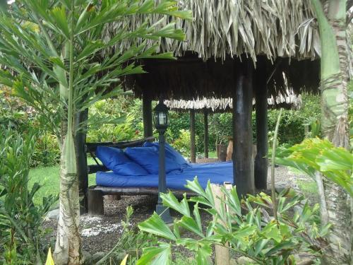 Hosteria Sumak Pakari in Nanegalito