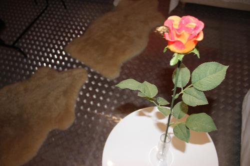 Odysseos St. Loft - image 14