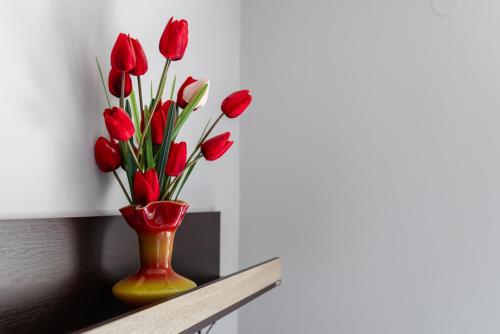 Standard Studio image 9