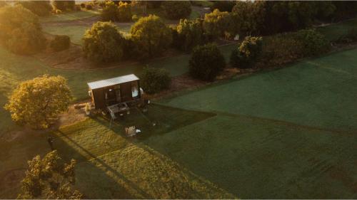 Tiny Al'Molokai by Tiny Away - Sharon