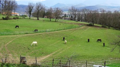 Gîte Au-delà des cimes (Gite Au-dela des cimes) in Villeneuve De Riviere