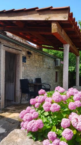 Rustical Apartment - Location saisonnière - Korčula