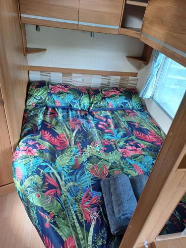 Springfield Oaks campsite in Newport North